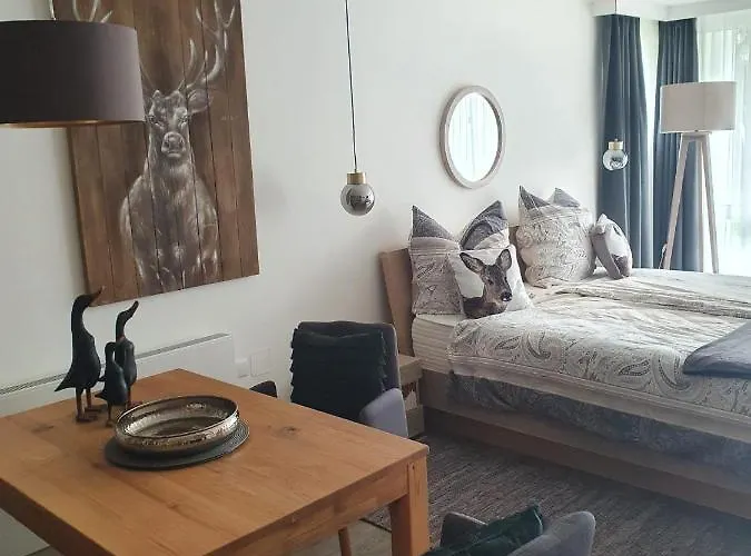 Maurers Schlierseetraum 6, Studio 455 Mit 42 Qm Neu Renoviert, Erdgeschoss Mit Eingezaeunter Terrasse In Ruhiger Lage Am Kirchbichlweg 8