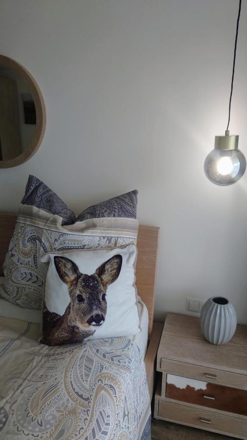 Maurers Schlierseetraum 6, 455 Mit 42 Qm Neu Renoviert, Erdgeschoss Mit Eingezaeunter Terrasse In Ruhiger Lage Am Kirchbichlweg 8 Апартаменты *