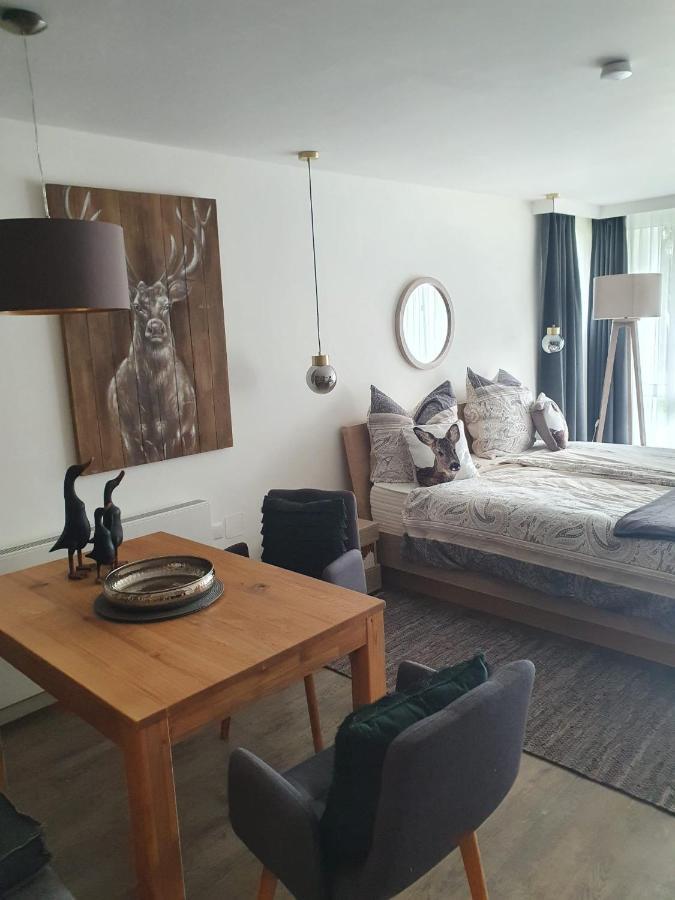 Appartement Maurers Schlierseetraum 6, 455 Mit 42 Qm Neu Renoviert, Erdgeschoss Mit Eingezaeunter Terrasse In Ruhiger Lage Am Kirchbichlweg 8