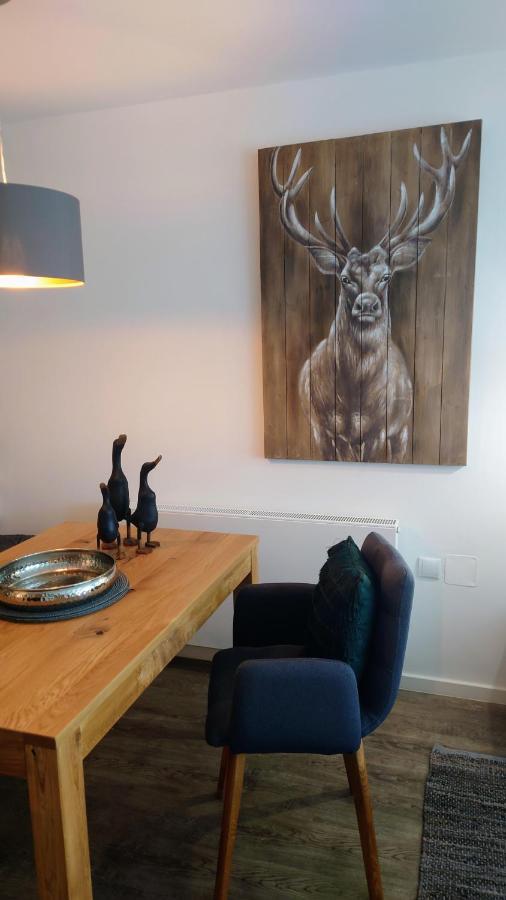 Apartment Maurers Schlierseetraum: Renovated With Private Terrace
